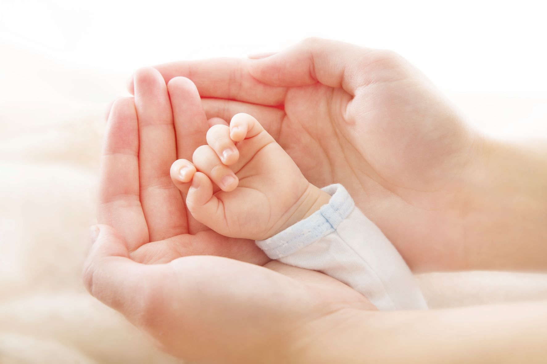 iStock_000033906754_M